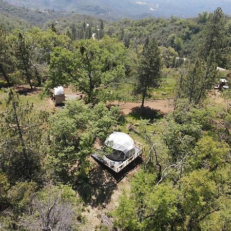 Enchanted Forest Dome ,10-15 Minutes To Kings Canyons-New Pellet Stove For Cozy Warm Nights Dunlap Kültér fotó